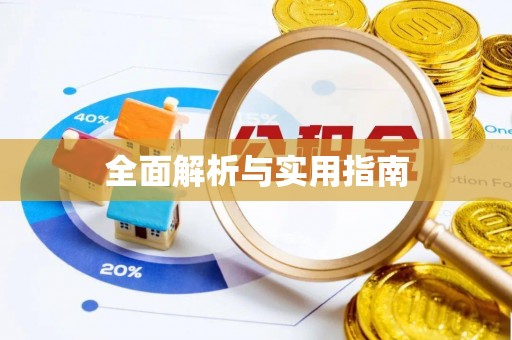 新干全面解析与实用指南