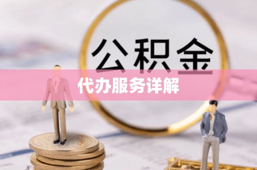 新干代办服务详解