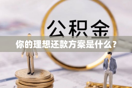 新干你的理想还款方案是什么？