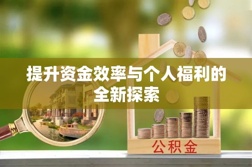 新干提升资金效率与个人福利的全新探索
