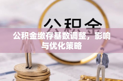 新干公积金缴存基数调整，影响与优化策略