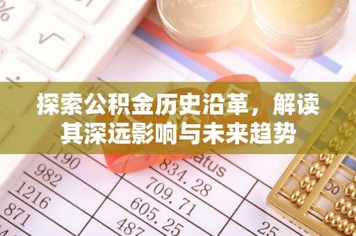 新干探索公积金历史沿革，解读其深远影响与未来趋势