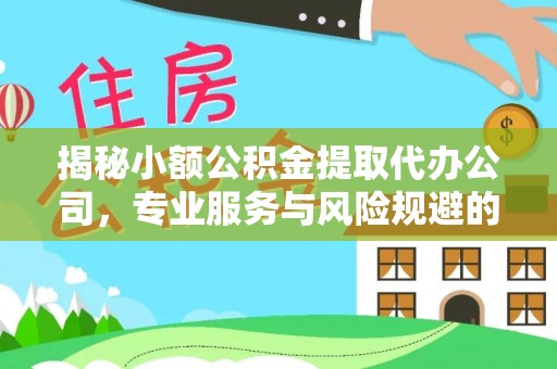 新干揭秘小额公积金提取代办公司，专业服务与风险规避的平衡艺术