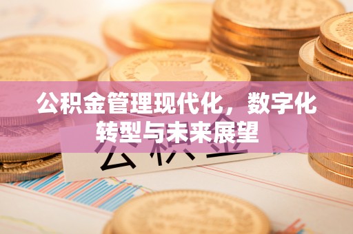 新干公积金管理现代化，数字化转型与未来展望