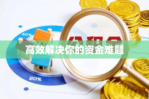 新干高效解决你的资金难题