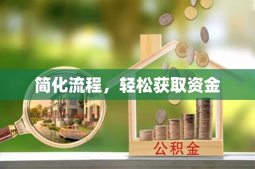 新干简化流程，轻松获取资金