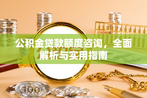 新干公积金贷款额度咨询，全面解析与实用指南