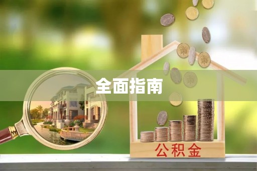 新干全面指南