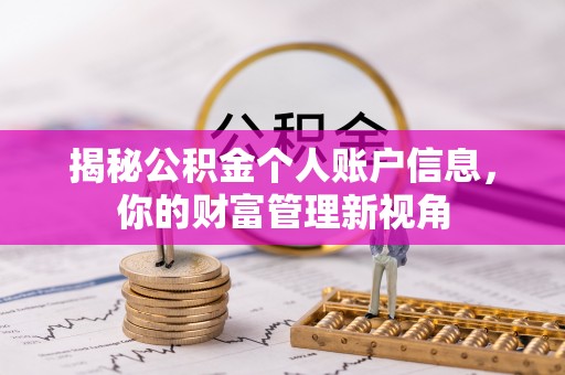 新干揭秘公积金个人账户信息，你的财富管理新视角