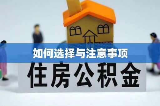 新干如何选择与注意事项