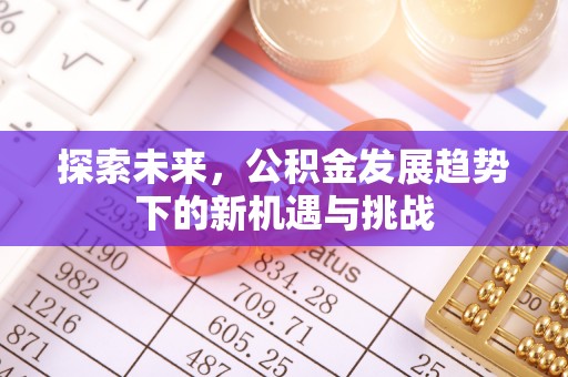 新干探索未来，公积金发展趋势下的新机遇与挑战