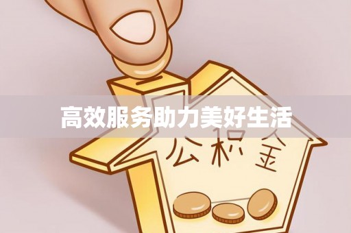 新干高效服务助力美好生活