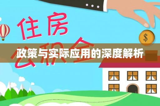 新干政策与实际应用的深度解析