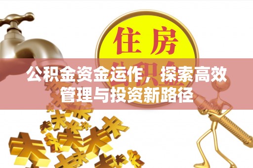 新干公积金资金运作，探索高效管理与投资新路径