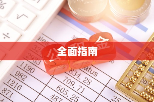新干全面指南