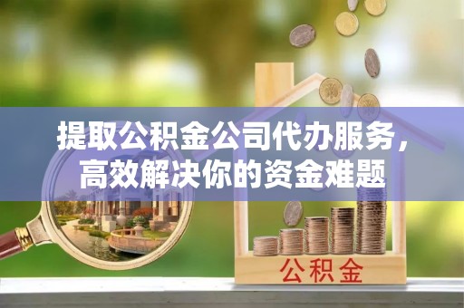 新干提取公积金公司代办服务，高效解决你的资金难题