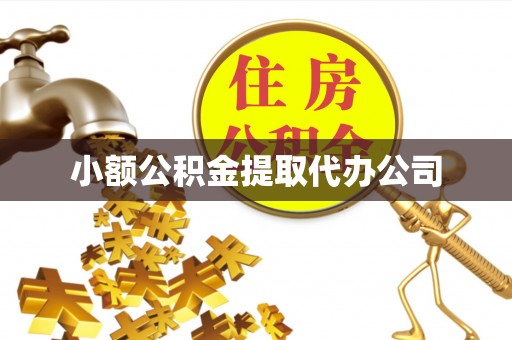 新干小额公积金提取代办公司