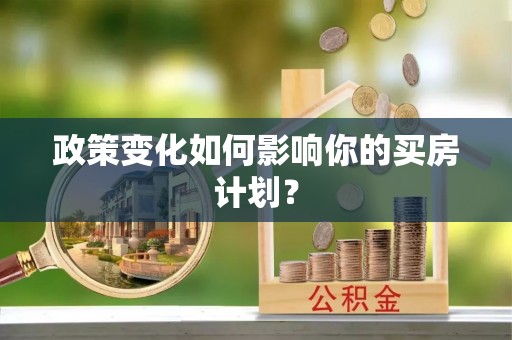 新干政策变化如何影响你的买房计划？