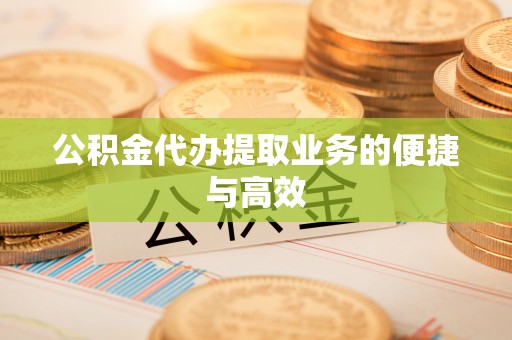 新干公积金代办提取业务的便捷与高效