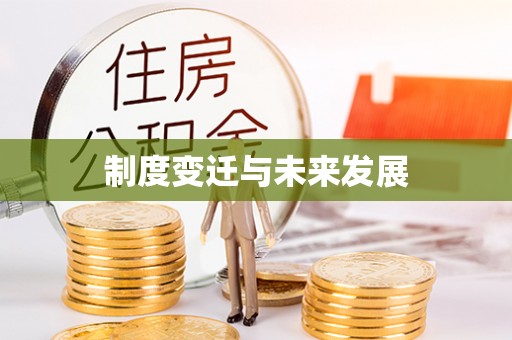 新干制度变迁与未来发展
