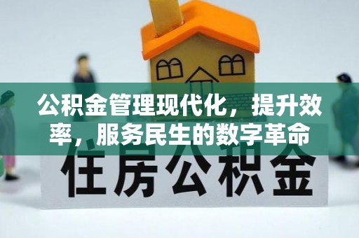 新干公积金管理现代化，提升效率，服务民生的数字革命