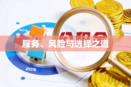 新干服务、风险与选择之道