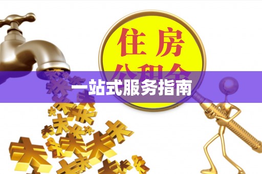 新干一站式服务指南