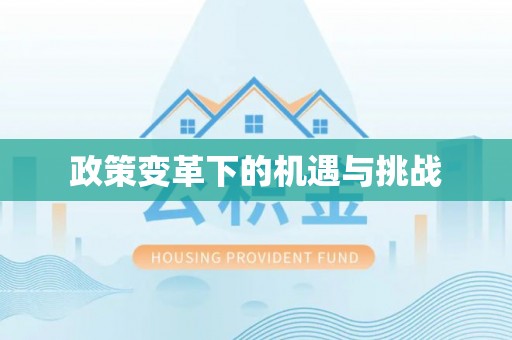 新干政策变革下的机遇与挑战