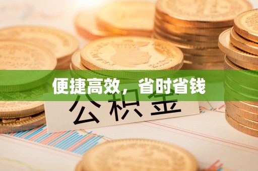 新干便捷高效，省时省钱