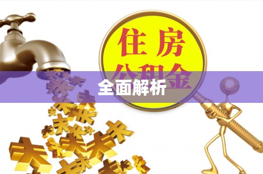 新干全面解析