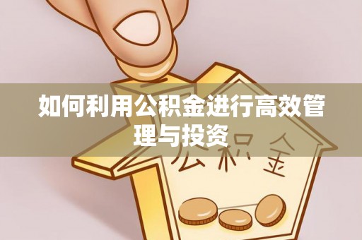 新干如何利用公积金进行高效管理与投资
