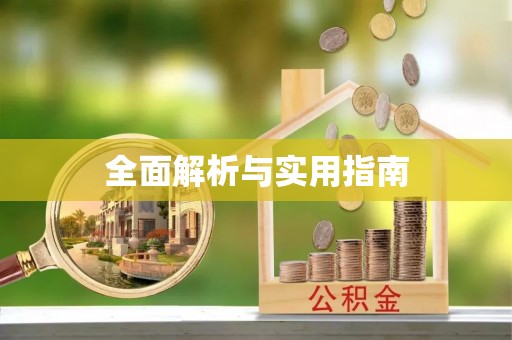 新干全面解析与实用指南