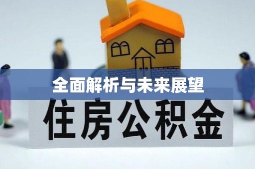 新干全面解析与未来展望