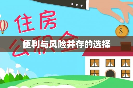 新干便利与风险并存的选择