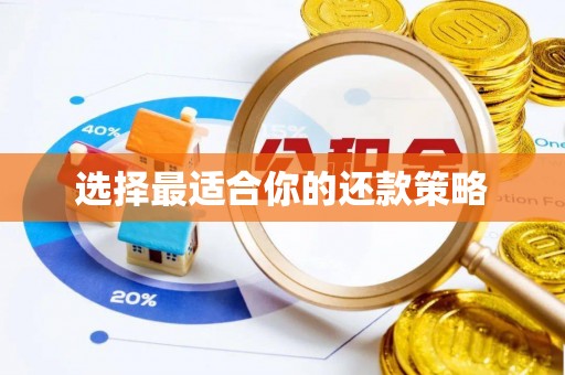 新干选择最适合你的还款策略