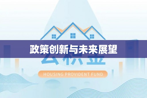 新干政策创新与未来展望
