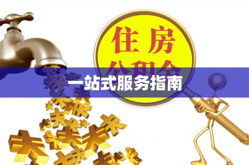 新干一站式服务指南