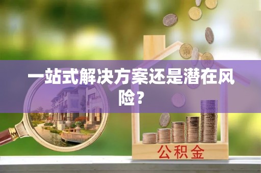 新干一站式解决方案还是潜在风险？